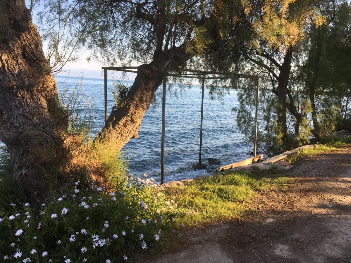 Seaside Apartment With Private Garden Néa Ankhíalos Dış mekan fotoğraf